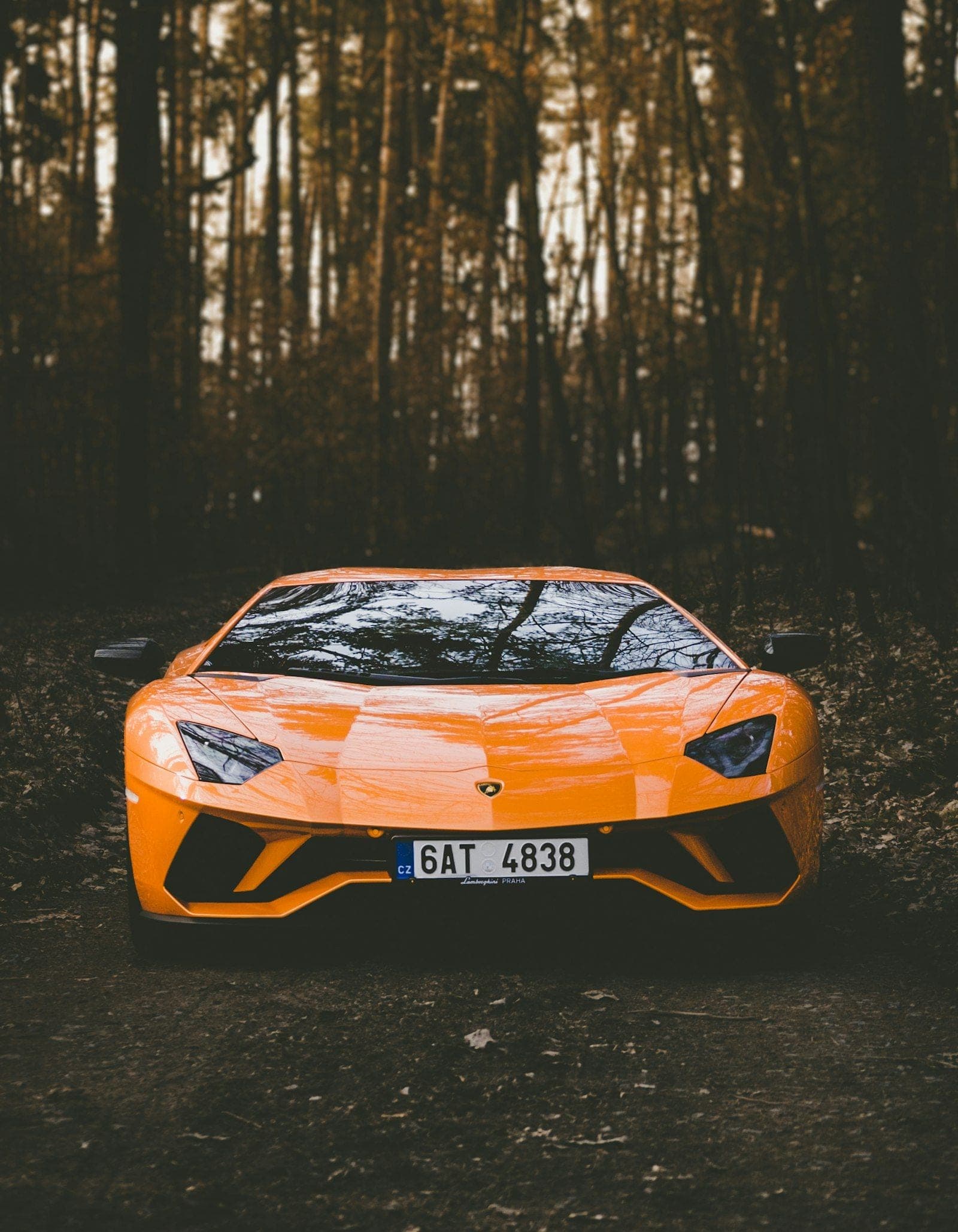 Performance car at sunset