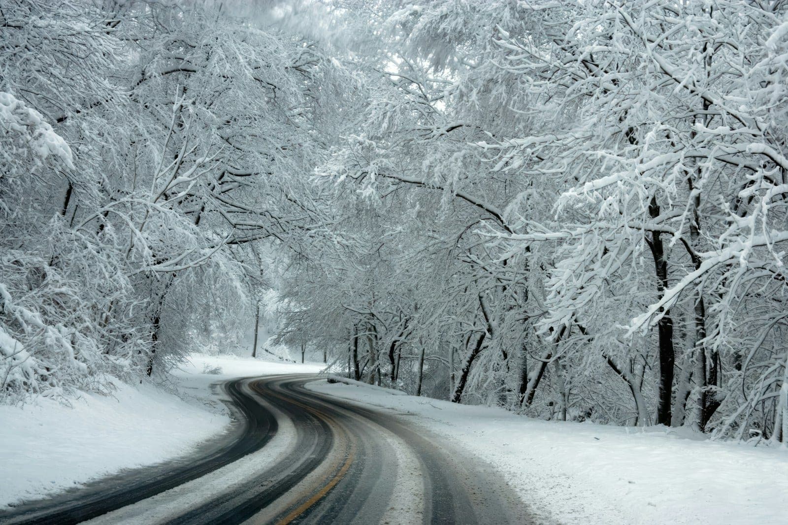 car dealership lot winter sale — vehicle photo