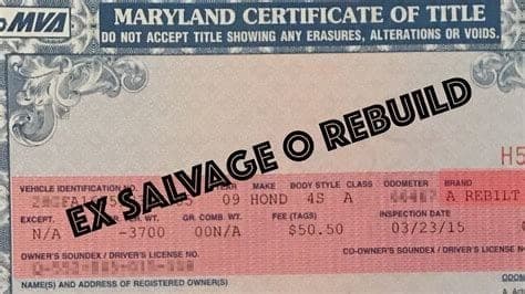 Vehicle title document showing a brand stamp