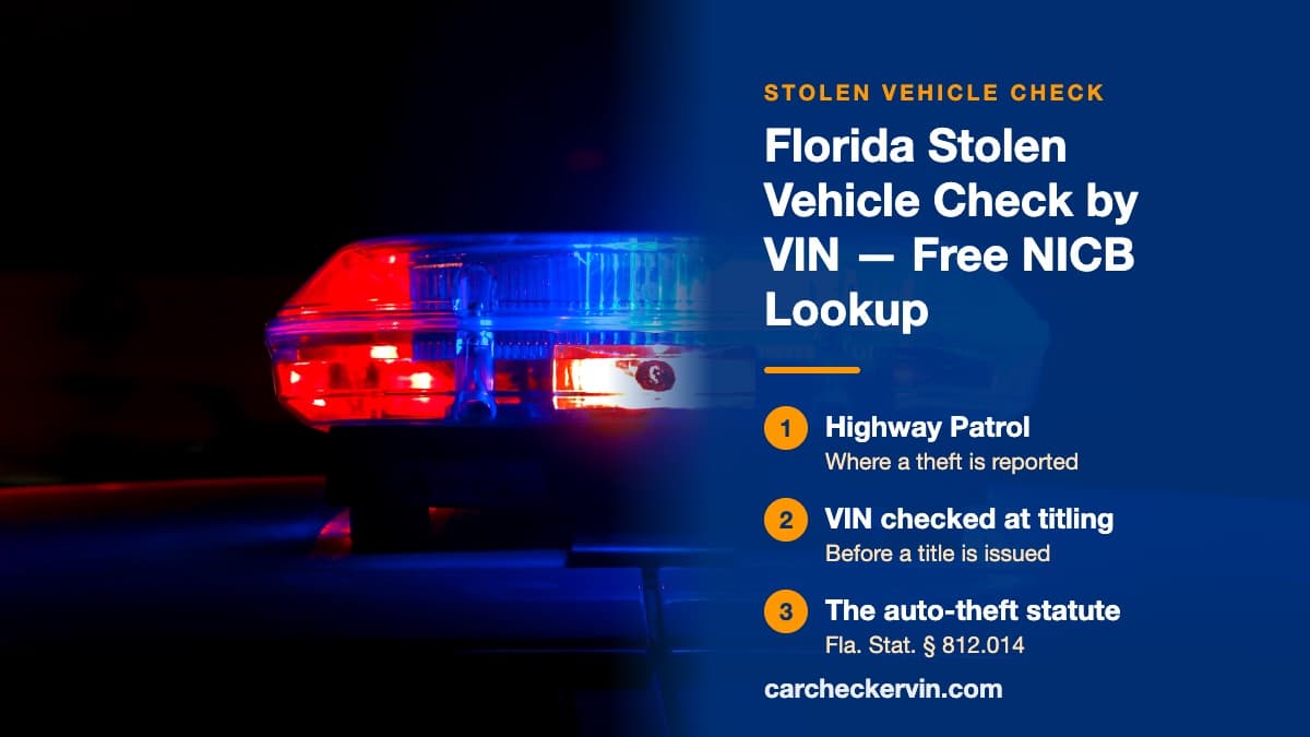 Police lights flashing red and blue on a dark street in Florida